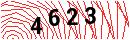 Security Verification