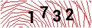 Security Verification