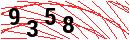 Security Verification