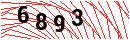 Security Verification