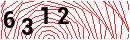 Security Verification