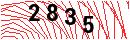 Security Verification