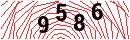 Security Verification