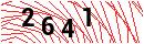 Security Verification