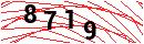 Security Verification