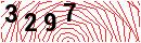 Security Verification