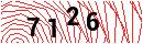 Security Verification