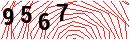 Security Verification