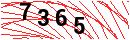 Security Verification