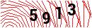Security Verification