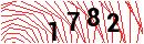 Security Verification