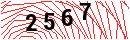 Security Verification