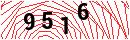 Security Verification