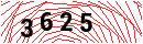 Security Verification
