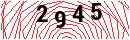 Security Verification