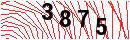 Security Verification