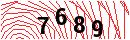 Security Verification