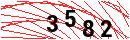 Security Verification