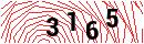 Security Verification
