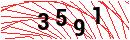 Security Verification