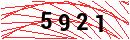 Security Verification