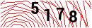 Security Verification