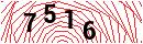 Security Verification