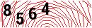 Security Verification