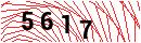 Security Verification