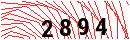 Security Verification