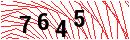 Security Verification