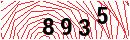 Security Verification