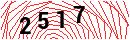 Security Verification