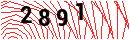 Security Verification