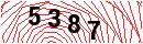 Security Verification