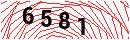 Security Verification