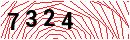 Security Verification