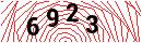 Security Verification