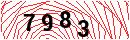 Security Verification