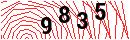 Security Verification