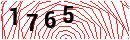 Security Verification