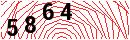 Security Verification