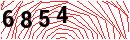 Security Verification