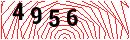 Security Verification