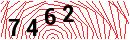 Security Verification