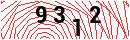 Security Verification