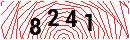 Security Verification