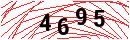Security Verification