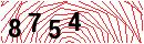 Security Verification