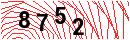 Security Verification